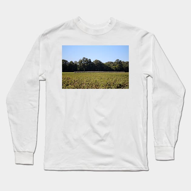 Hay Bales In Field Long Sleeve T-Shirt by Cynthia48